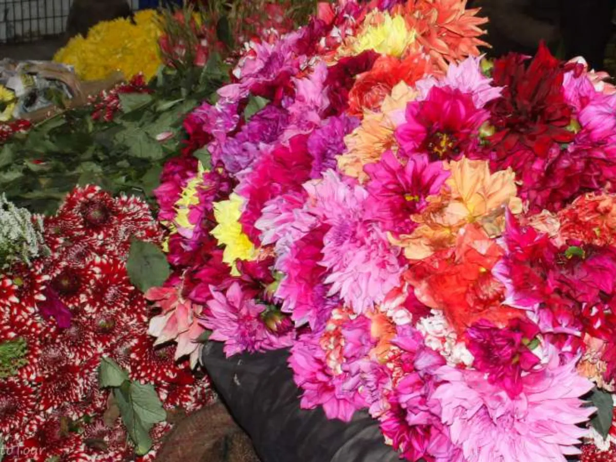 Photo Tours of Special Markets